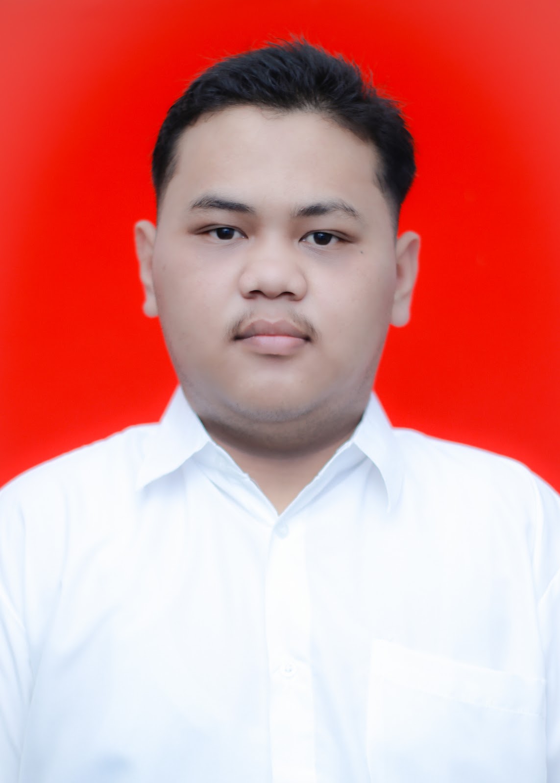 Foto Biodata