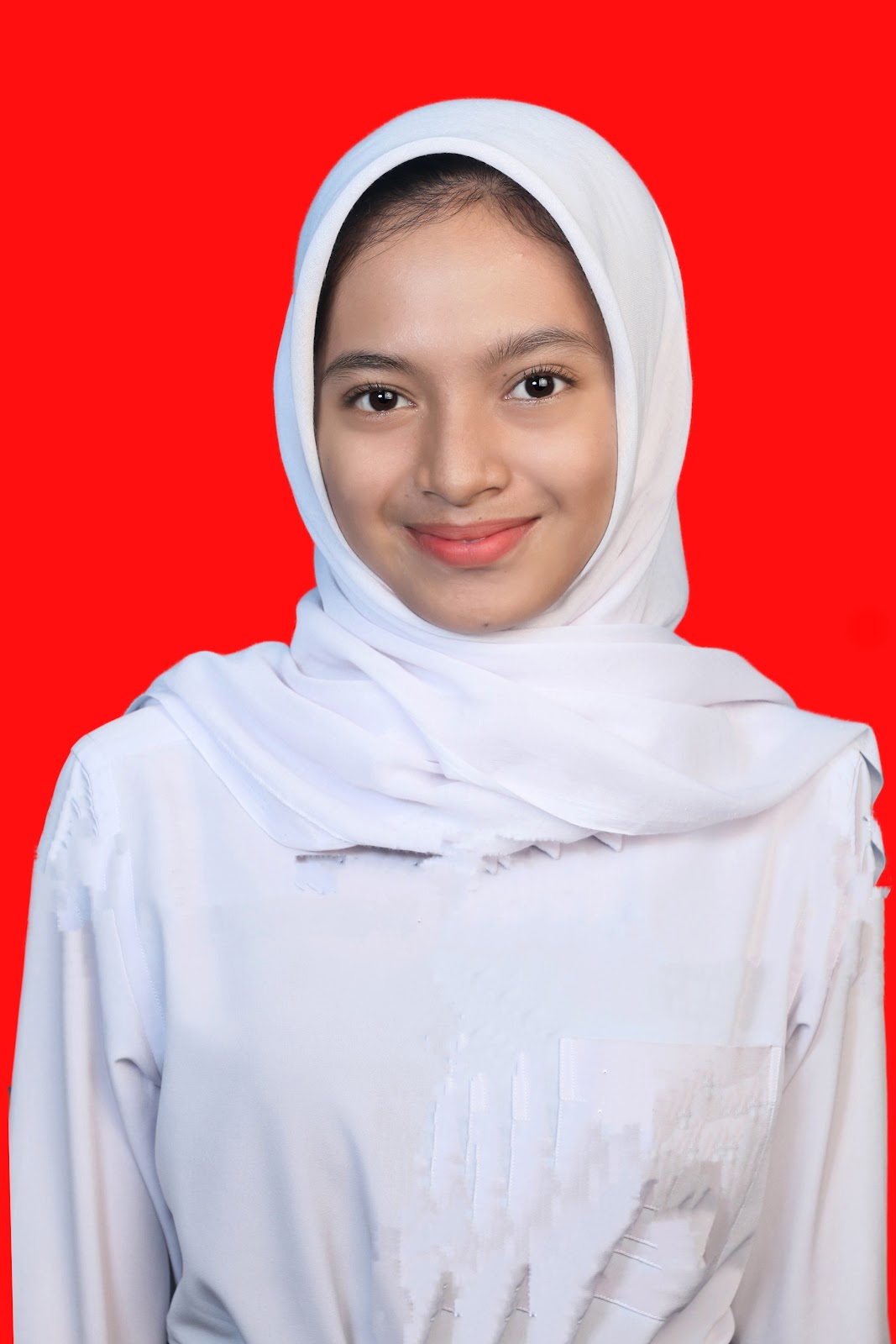 Foto Biodata