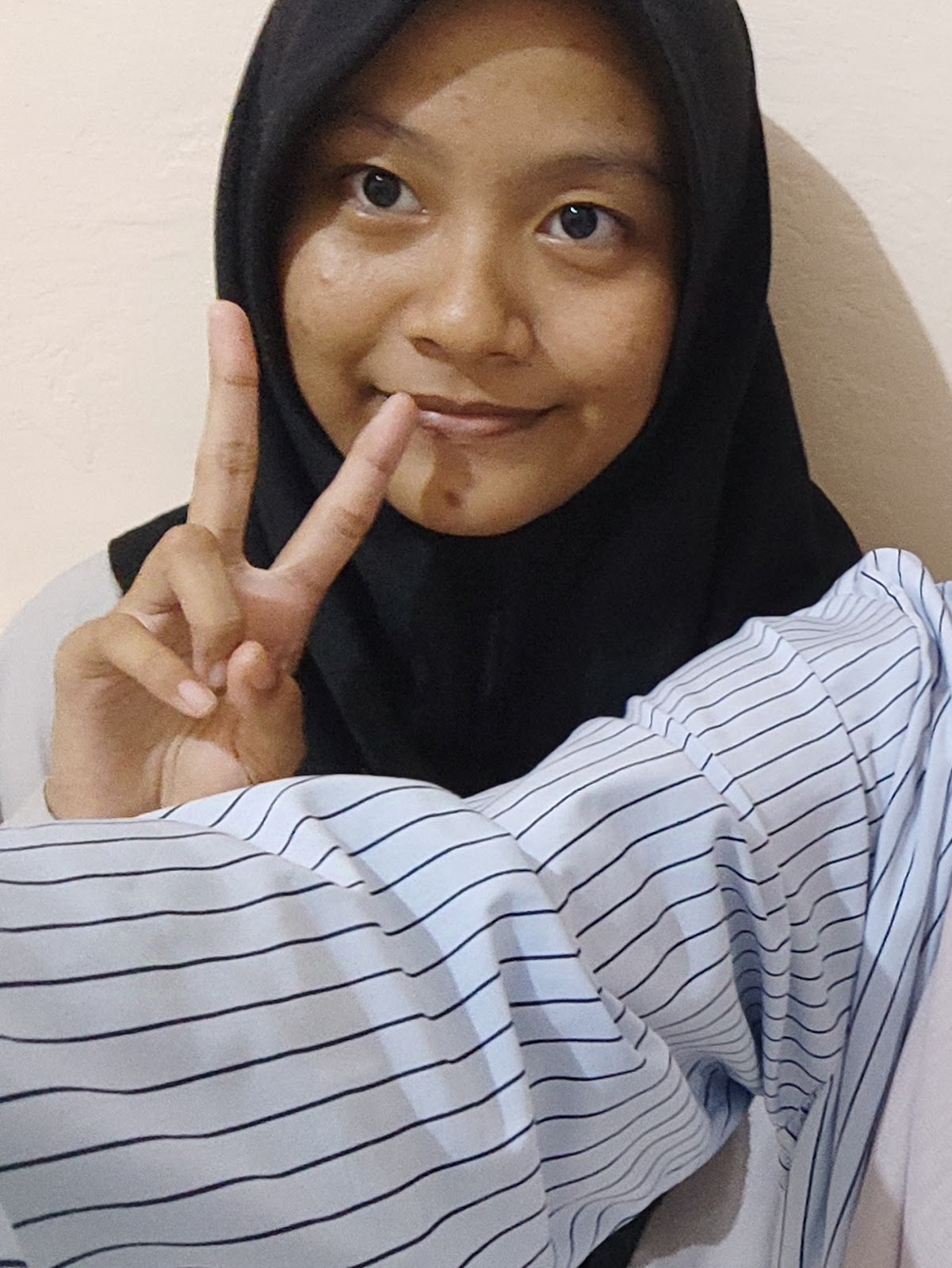 Foto Biodata